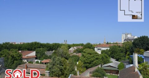 Mirka Bogovića