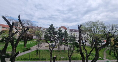 Šenoina