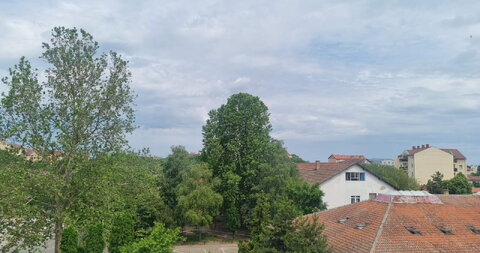 Kumanovska