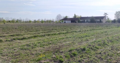 Bački Vinogradi,Mezőgazdasági földterület
