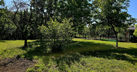 Palić,Kuća