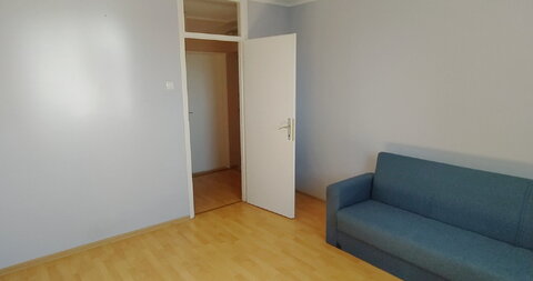 Beogradski put