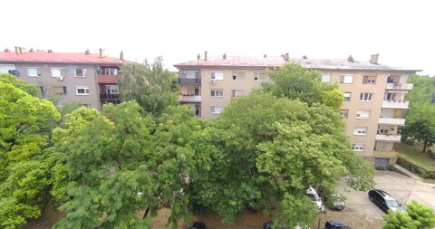 Mihajila Pupina