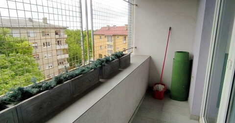 Mihajila Pupina