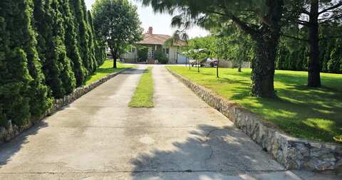 Bački Vinogradi,Kuća