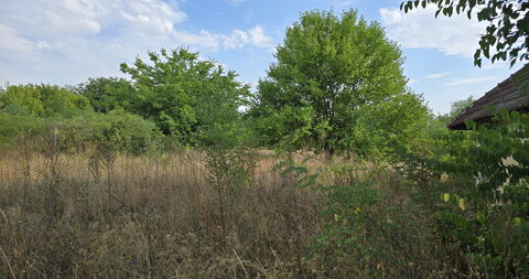 Stolarska