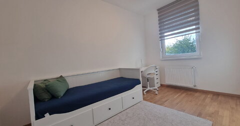 Ugao Kumičićeve i Šolohove