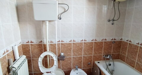 Arsenija Čarnojevića