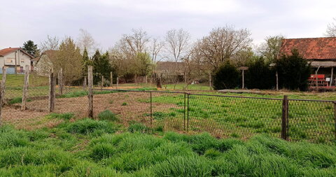 Stara Moravica,Kuća