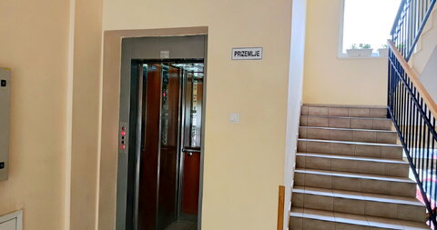 Prvomajska