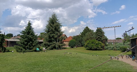 Novo Selo,Kuća