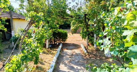 Donji Tavankut,Kuća