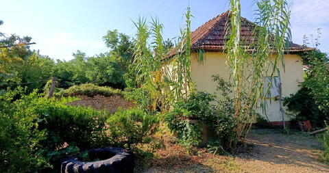 Donji Tavankut,Kuća