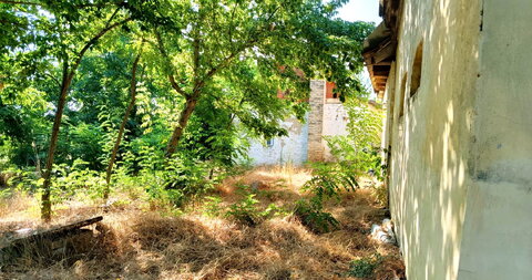 Donji Tavankut,Kuća