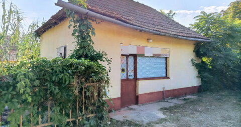 Donji Tavankut,Kuća