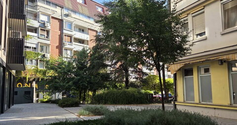 Vuka Karadžića
