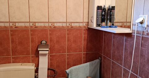 Feketić,Kuća