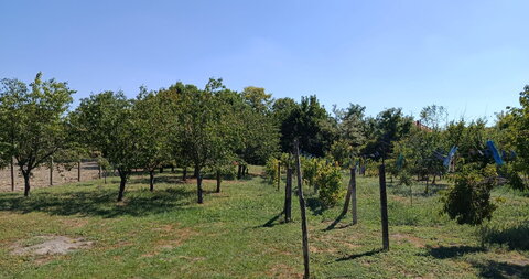 Feketić,Kuća
