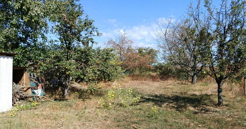 Palić,Kuća