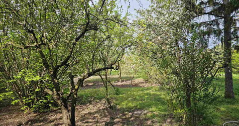Mali Beograd,Kuća