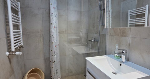 Arsenija Čarnojevića
