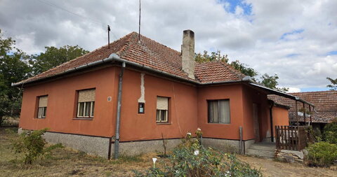 Donji Tavankut,Kuća