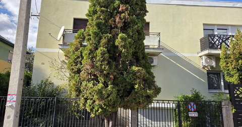 Šandora Olaha
