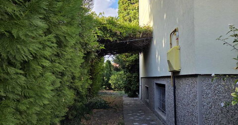 Šandora Olaha