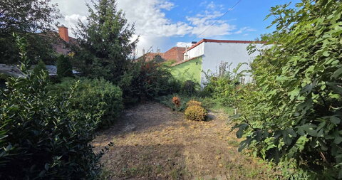 Šandora Olaha